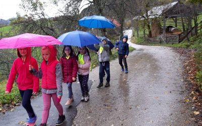 Veseli koraki od jeseni do poletja