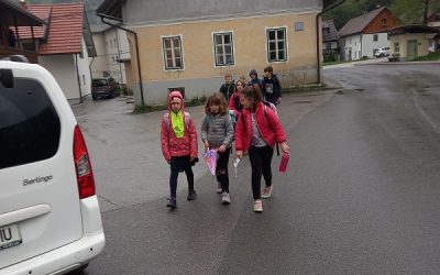 Gremo peš s kokoško Rozi