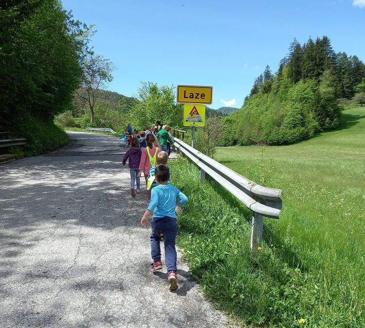 Gremo peš s kokoško Rozi