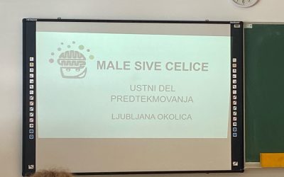 Male sive celice