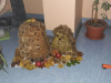 20191107_161333