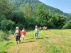 IMG-0bfd0c1e65f3b10986d73345671eb720-V