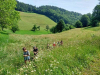 IMG-6a4cf56a8854fcb5092e406631f7eeb3-V