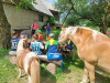 IMG-a7df55a268af7a61e0d0b5958d9414a6-V