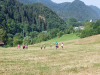 IMG-f09fcdc3dbf68458d243902ba7be3ae0-V